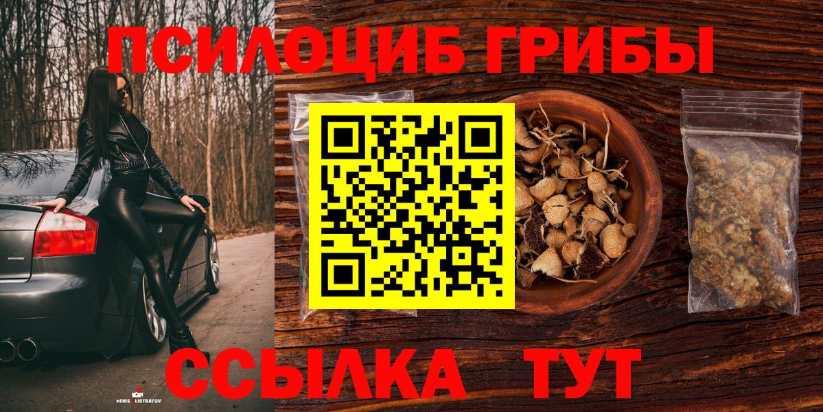 Коломна  Галлюциногенные грибы Psilocybe  Вход с VPN 
