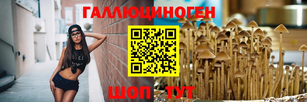 Псилоцибиновые грибы мухоморы Коломна